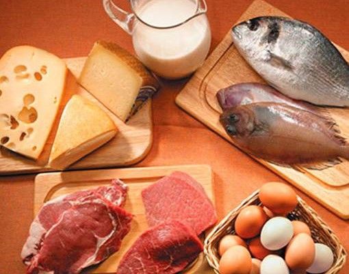 dieta proteica pro e contro