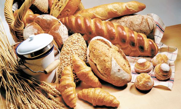 Martelli Torah in Belarus per comprare gocce