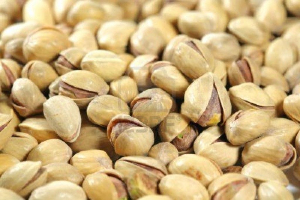 pistacchi