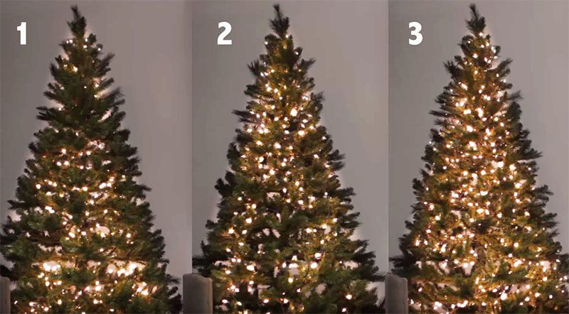 Come Posizionare Correttamente Le Luci Sull Albero Di Natale