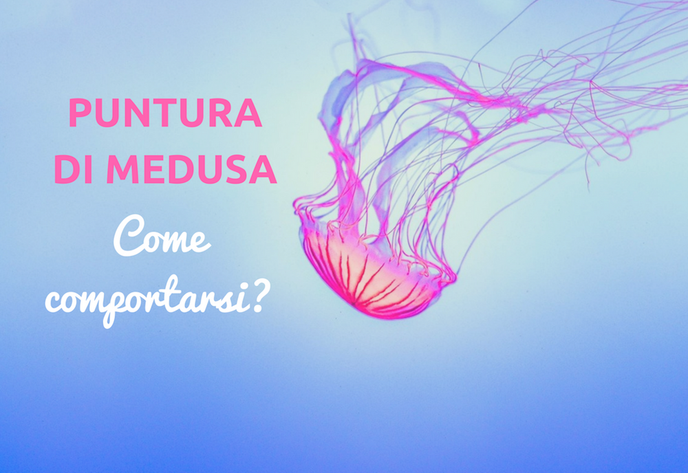 Cosa fare e cosa non fare se si viene punti dalle meduse Cosa fare e cosa non fare se si viene punti dalle meduse