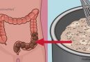 La miscela casalinga che pulirà il tuo colon dai rifiuti tossici La miscela casalinga che pulirà il tuo colon dai rifiuti tossici