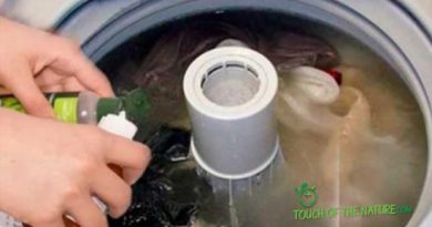 I miei vestiti non sono mai stati tanto puliti e freschi dopo il lavaggio, qualcuno mi ha svelato un piccolo trucco I miei vestiti non sono mai stati tanto puliti e freschi dopo il lavaggio, qualcuno mi ha svelato un piccolo trucco