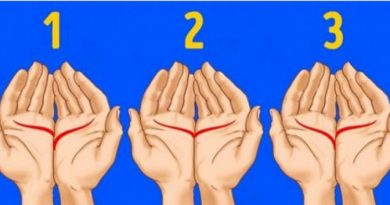 Metti insieme le mani e attenzione ai dettagli Metti insieme le mani e attenzione ai dettagli