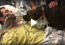 Questo video sta facendo il giro del web – Il cane da l’ultimo saluto al padrone morente in ospedale Questo video sta facendo il giro del web – Il cane da l’ultimo saluto al padrone morente in ospedale