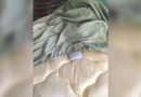 Questo trucco della saponetta sul letto risolve un problema comune e sta facendo il giro del web Questo trucco della saponetta sul letto risolve un problema comune e sta facendo il giro del web