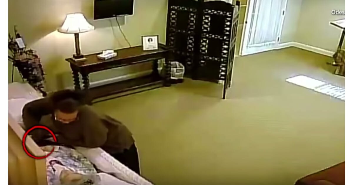 Il Mio Vicino Ha Messo Le Telecamere